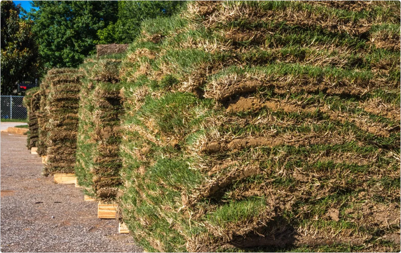  Sunshine Sod - Fast & Reliable Sod Delivery in Florida