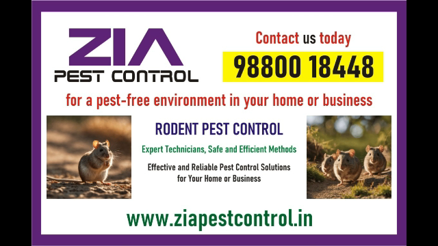  Rodent pest control | Residence and office pest control services | 2086 |