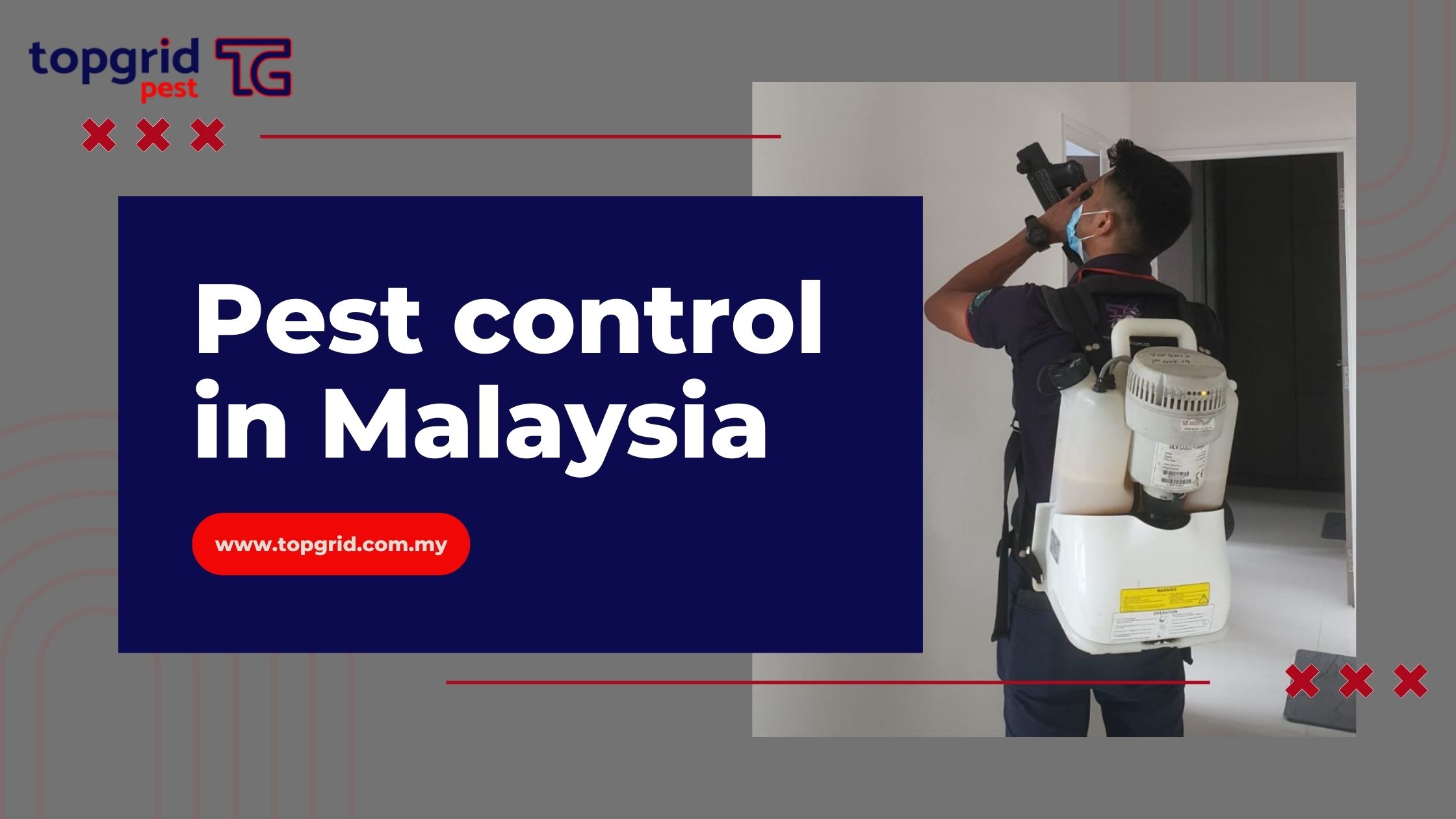  Pest Control in Malaysia