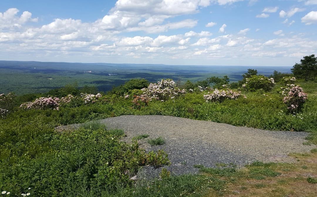  Big Pocono State Park