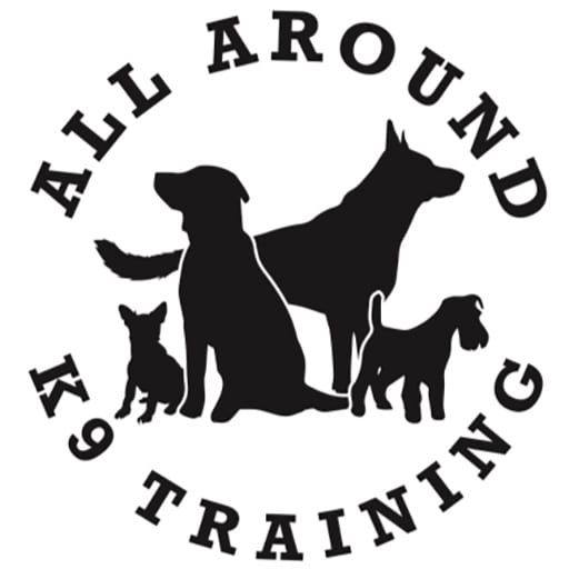  Dog Aggression Training San Antonio TX