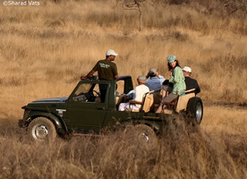  Arrange Gir National Park Jeep Safari Booking for Beautiful View