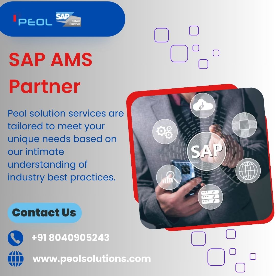  SAP AMS Partner in India