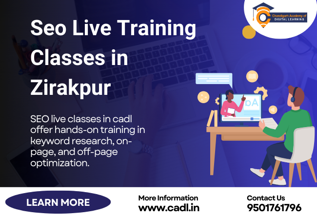  SEO Live Training Classes in Zirakpur