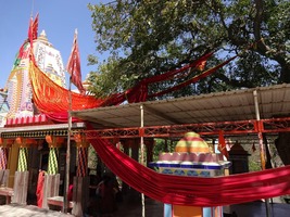  Book Kankai Temple Safari for Pilgrimage