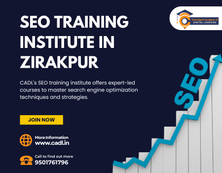  Seo Training Institute In Zirakpur