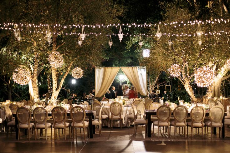  The Best Wedding Event Company in Illinois for Stunning Celebrations