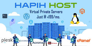  Best VPS Hosting for Forex Trading: Speed, Reliability, and Security | Hapih Host.