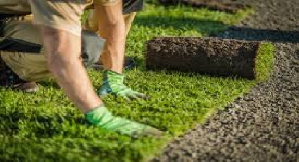  Looking For Landscaping Services Horsham