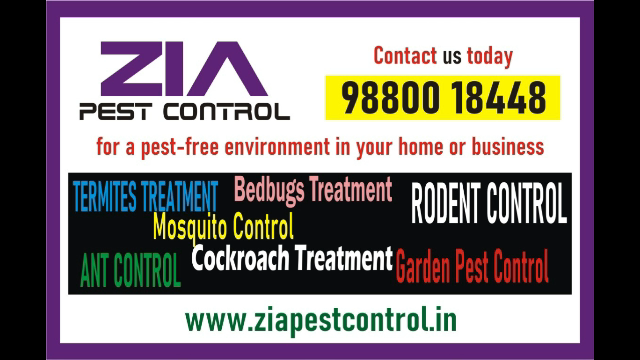  Specialist in Pest control | Cockroach service 30% off  | 1917 | Bangalore