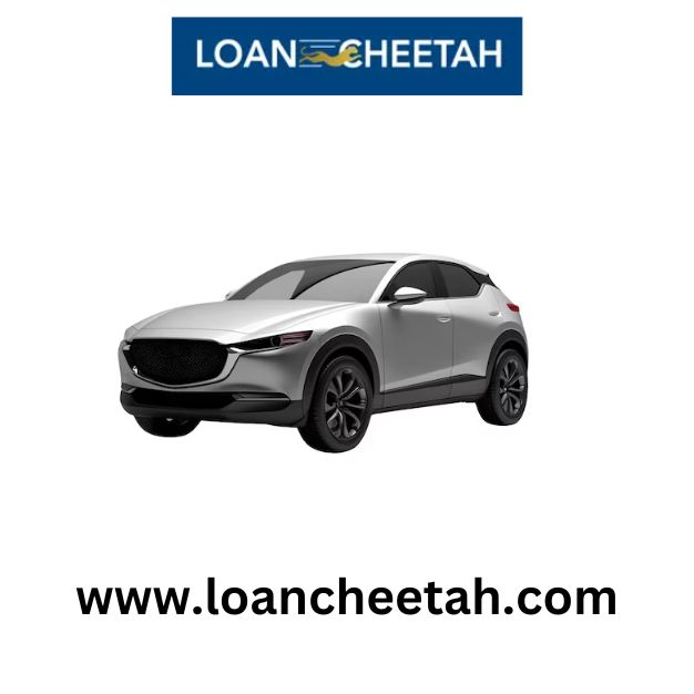  Fast Car Title Loans with No Income Verification | Easy Approval