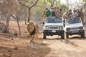  Plan Devalia Safari Booking Online for Wildlife Experience