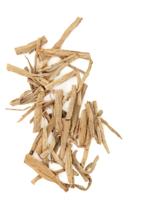  Prodej Fenykl Obyčejný Kořen (Common Fennel Root) ve velkém od výrobce za nejlepší ceny