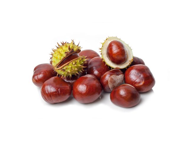  Prodej Koňský Kaštan (Horse Chestnut) ve velkém od výrobce za nejlepší ceny