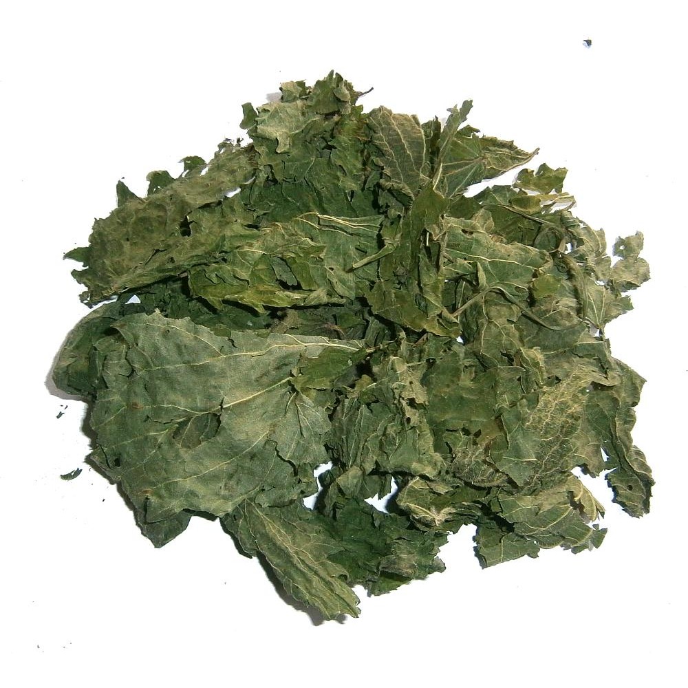  Prodej List kopřivy (Nettle leaf) ve velkém od výrobce za nejlepší ceny