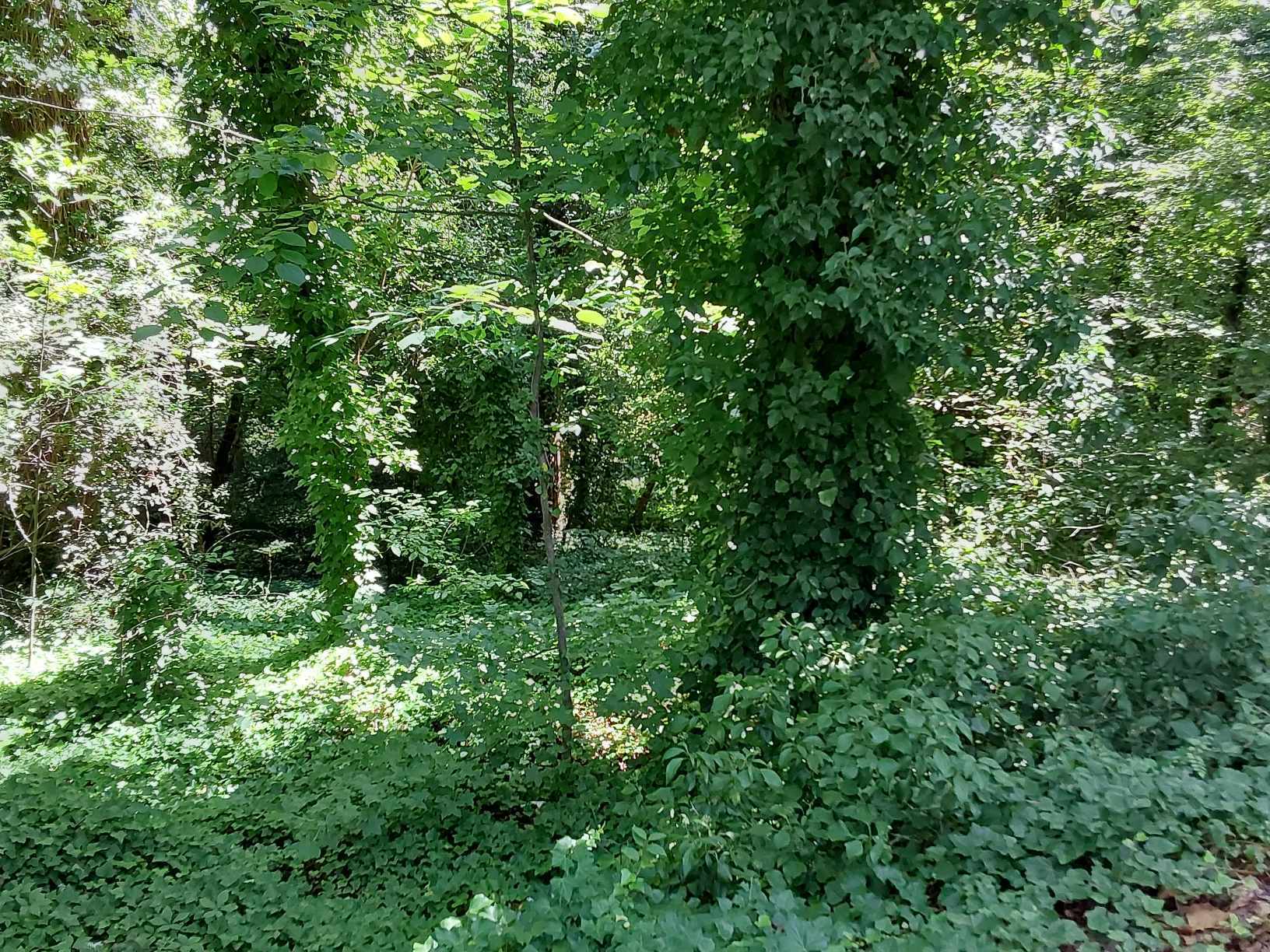  Discover an incredible opportunity with this 0.36-acre lot