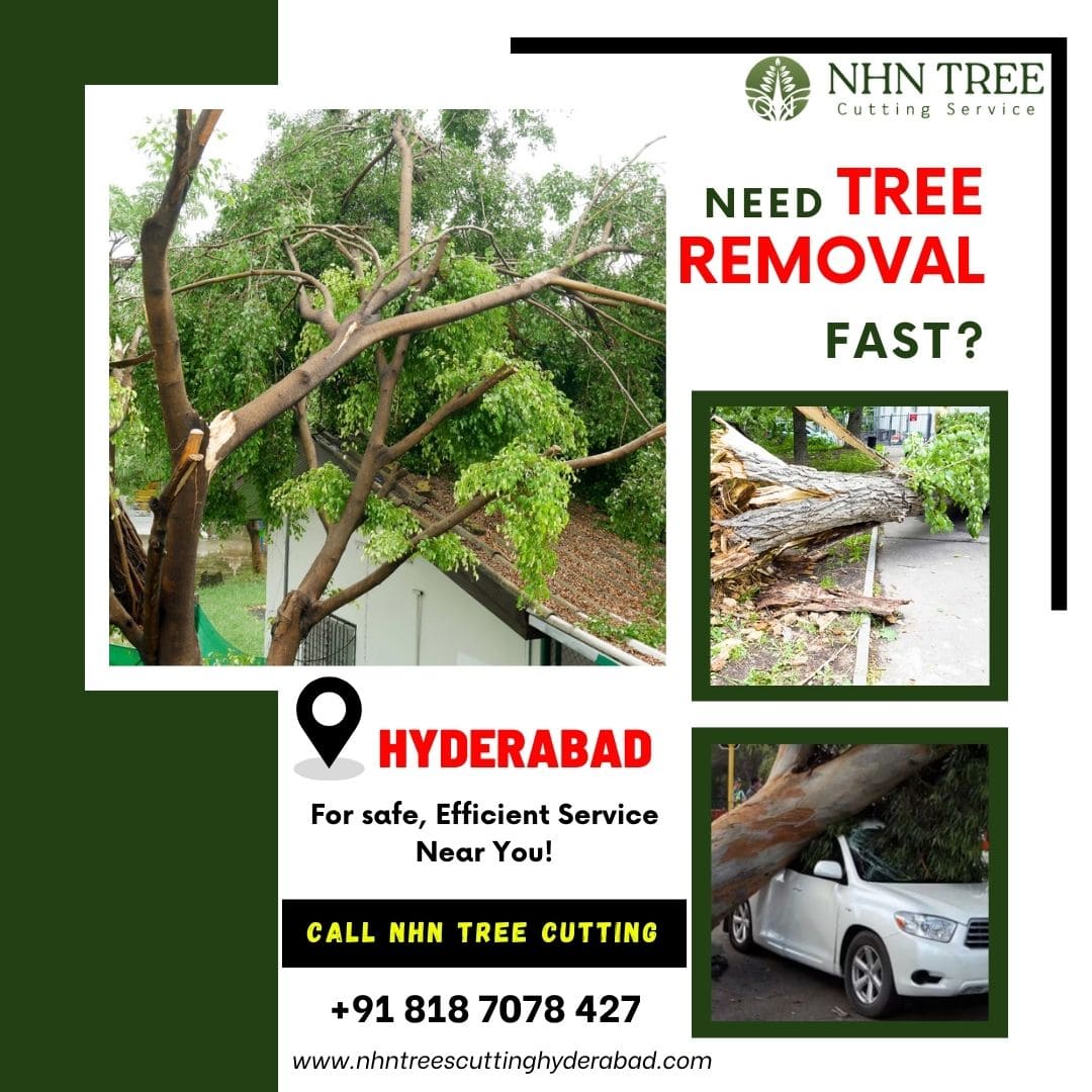  Tree Removal Services - NHN Tree Cutting Services Hyderabad