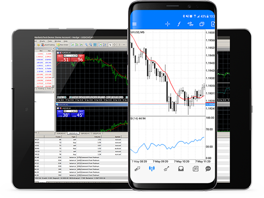  Best Forex Trading Platform - Ibull Capital