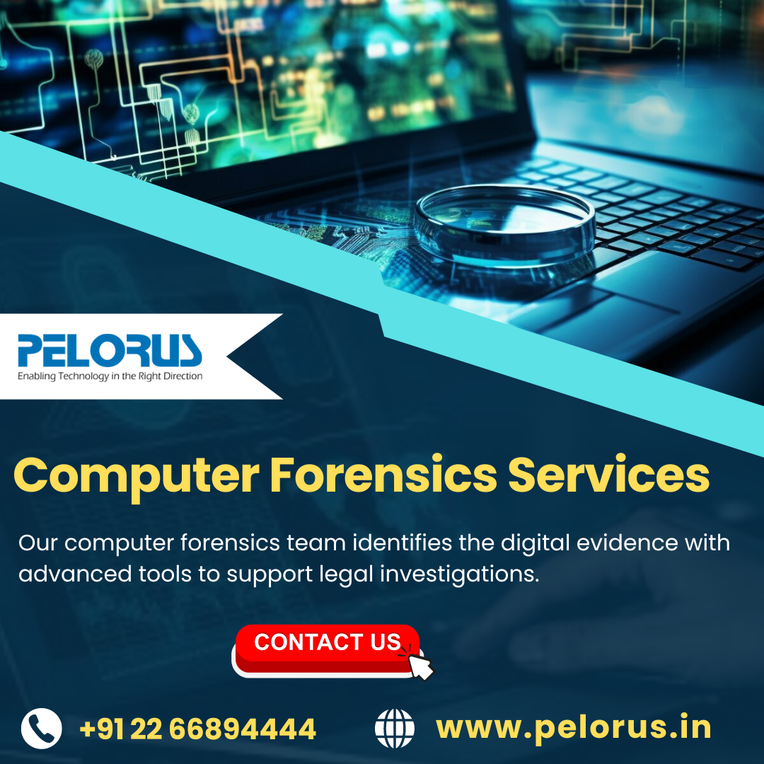  Computer Forensics Services