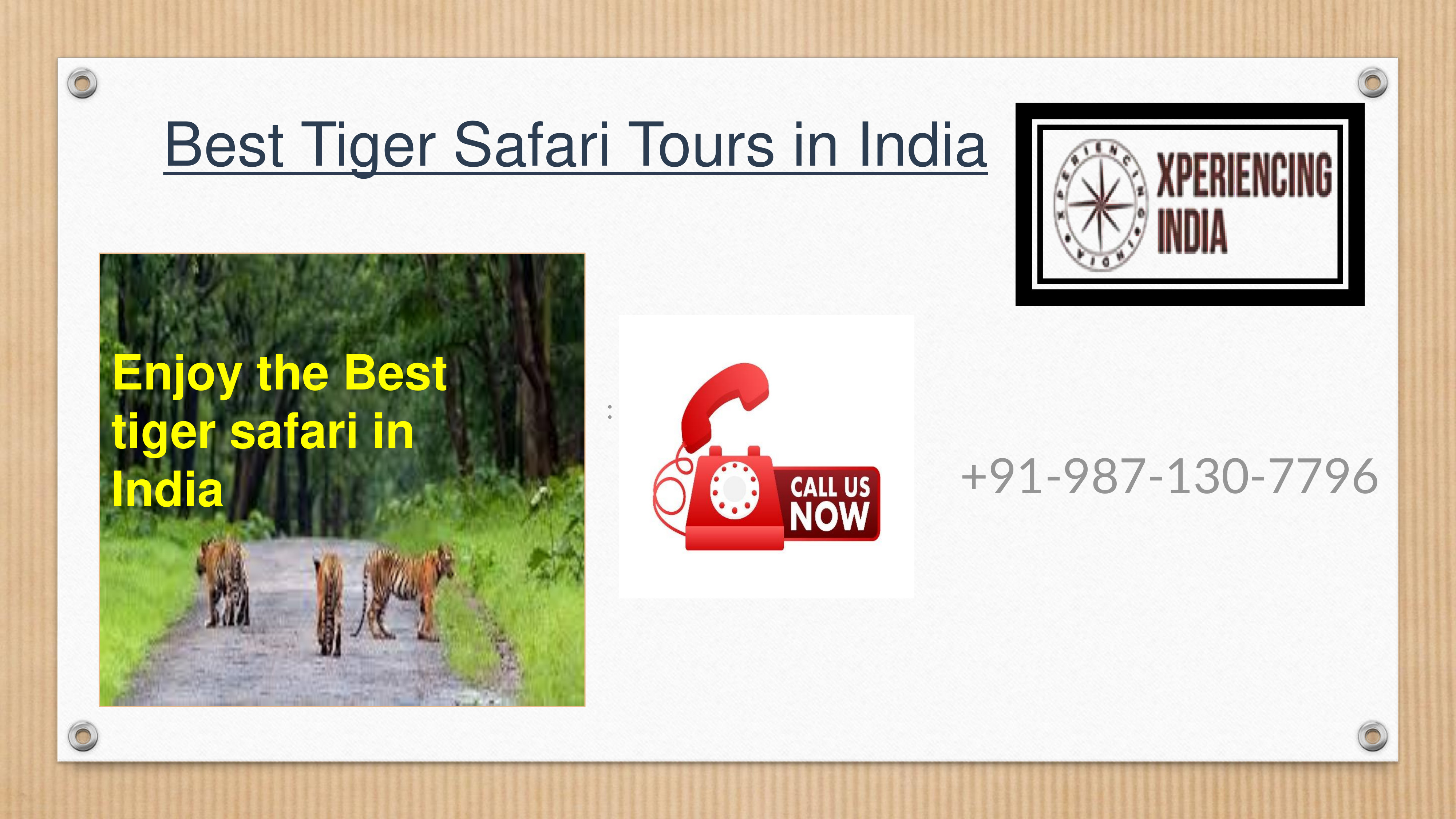  Best Tiger Safari Tours in India