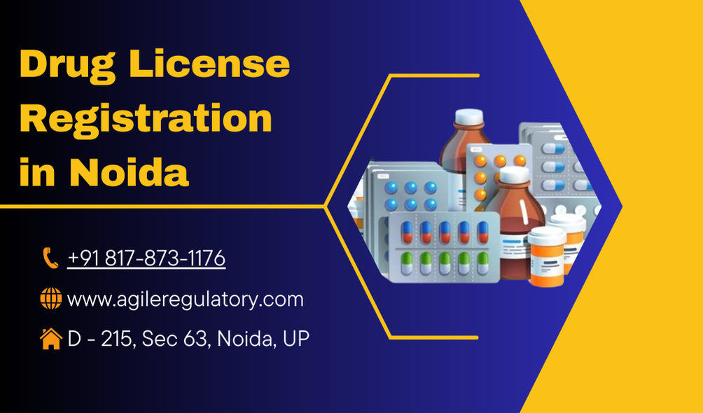  Uttar Pradesh Drug License