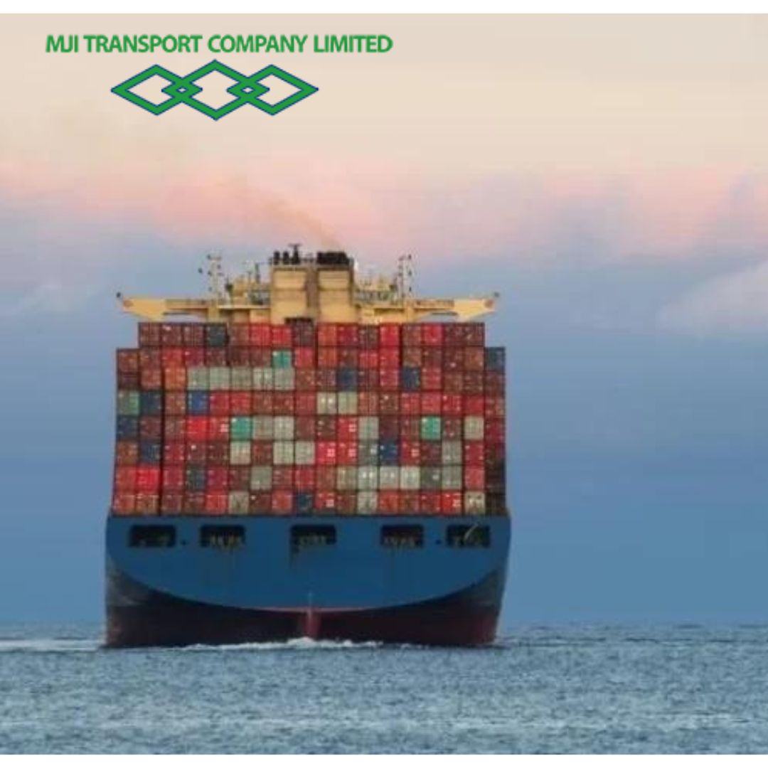  Bahamas’ Most Reliable Shipping and Logistic Company – Optimal Transport Connection