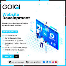  Professional web development company