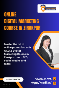  Online Digital Marketing Course In Zirakpur