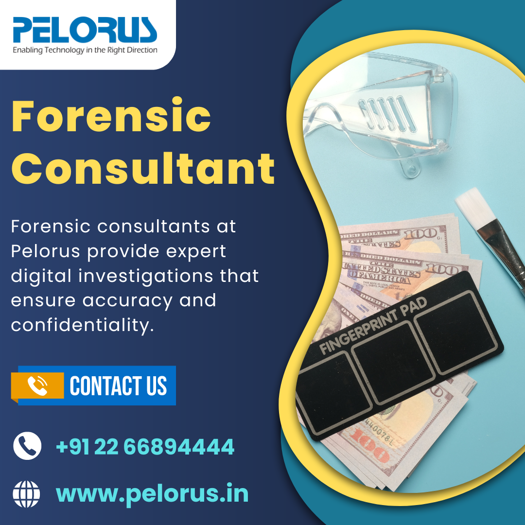  forensic consultant | forensics audit