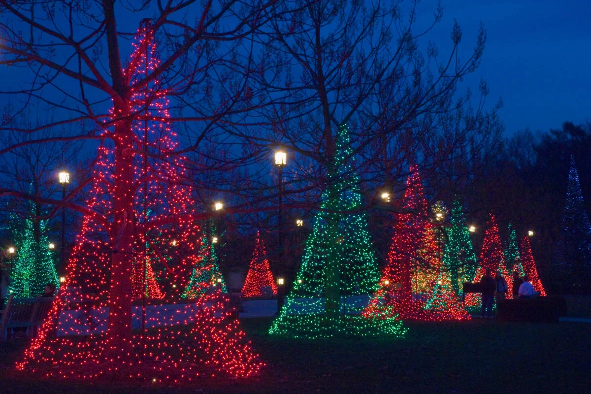  Top-Rated Outdoor Christmas Lights in South Jersey | Lisk Holiday Décor