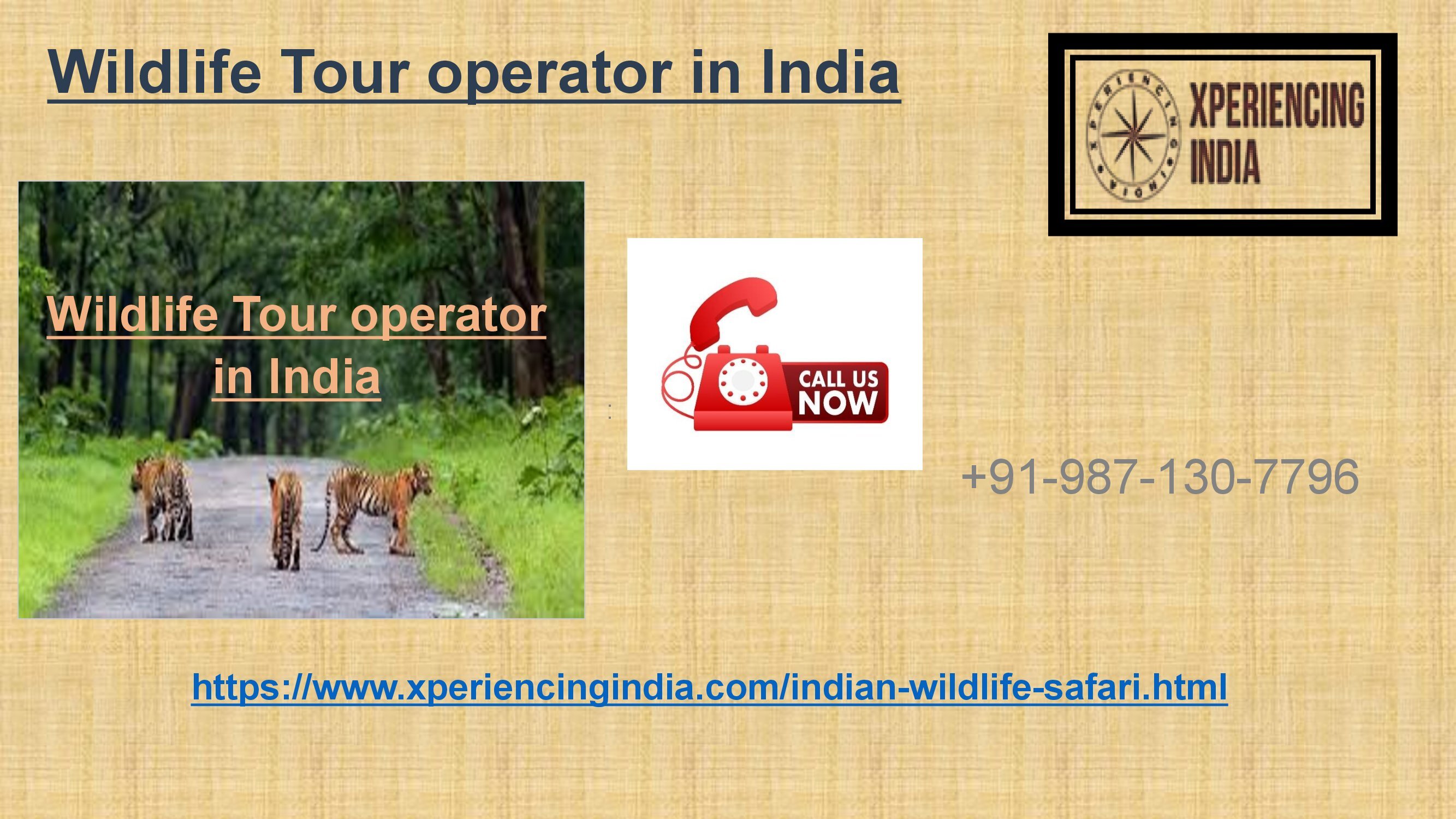  Wildlife tour operator in India 91 98713107796