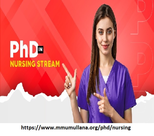  PhD in nursing admission 2024