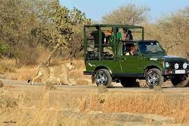  Reserve Devalia Park Safari Booking for Diverse Species