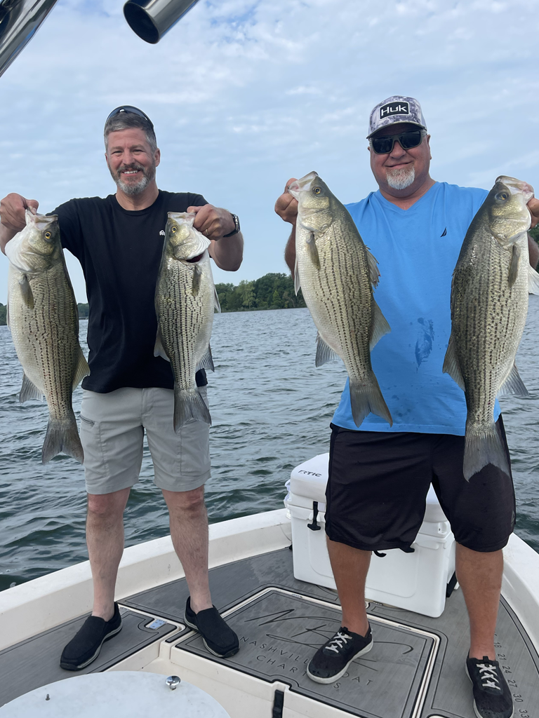  Striped Bass Fishing: Your Next Adventure Awaits