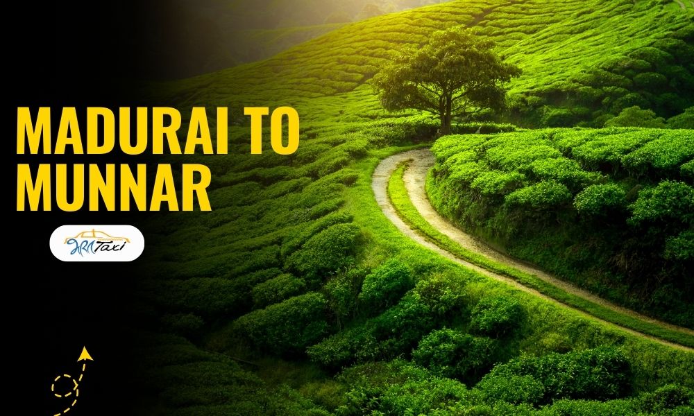  Madurai to Munnar Taxi at Affordable Fare