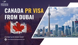  Fast and Easy Process by the Best Canada Immigration Consultants