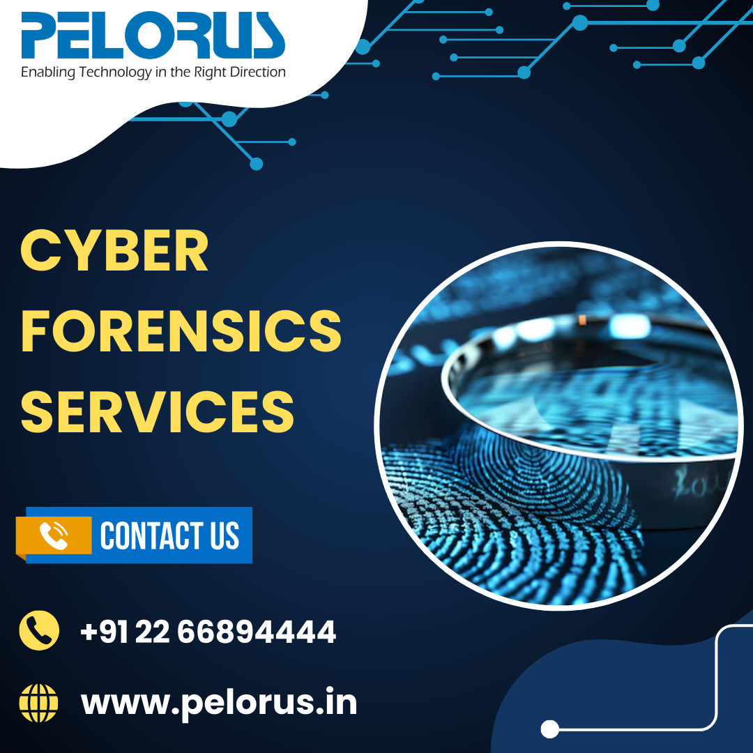  cyber forensics services | E-Discovery Software