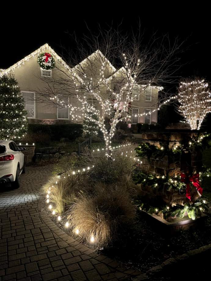  Light Up Your Landscape with Trees & Shrubs Holiday Lighting