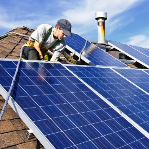  Pigeon pest Control Solar Panels