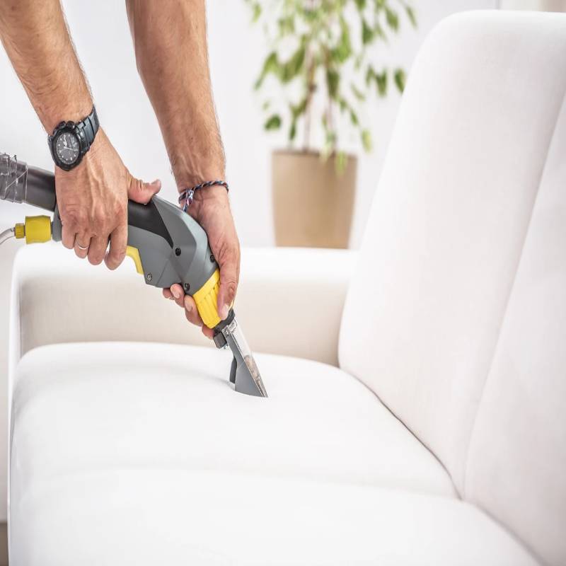  Comprehensive Upholstery Cleaning Services in Long Island, NY