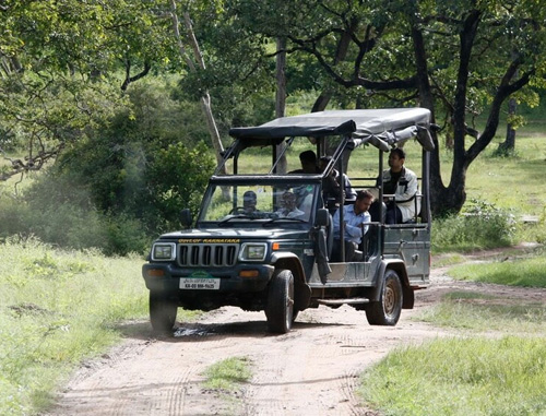  Reserve Gir Jeep Safari Booking at Your Preferred Time