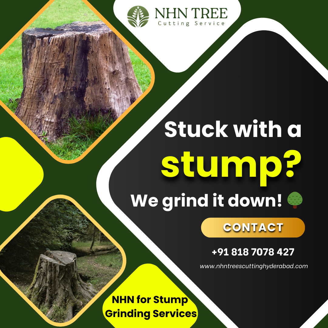  Tree Stump Grinding & Tree Care Services in Hyderabad: NHN Tree Cutting Hyderabad