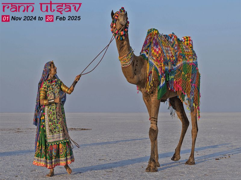  Kutch Tourism Package 2024 - 25 | Rann Utsav Online Booking