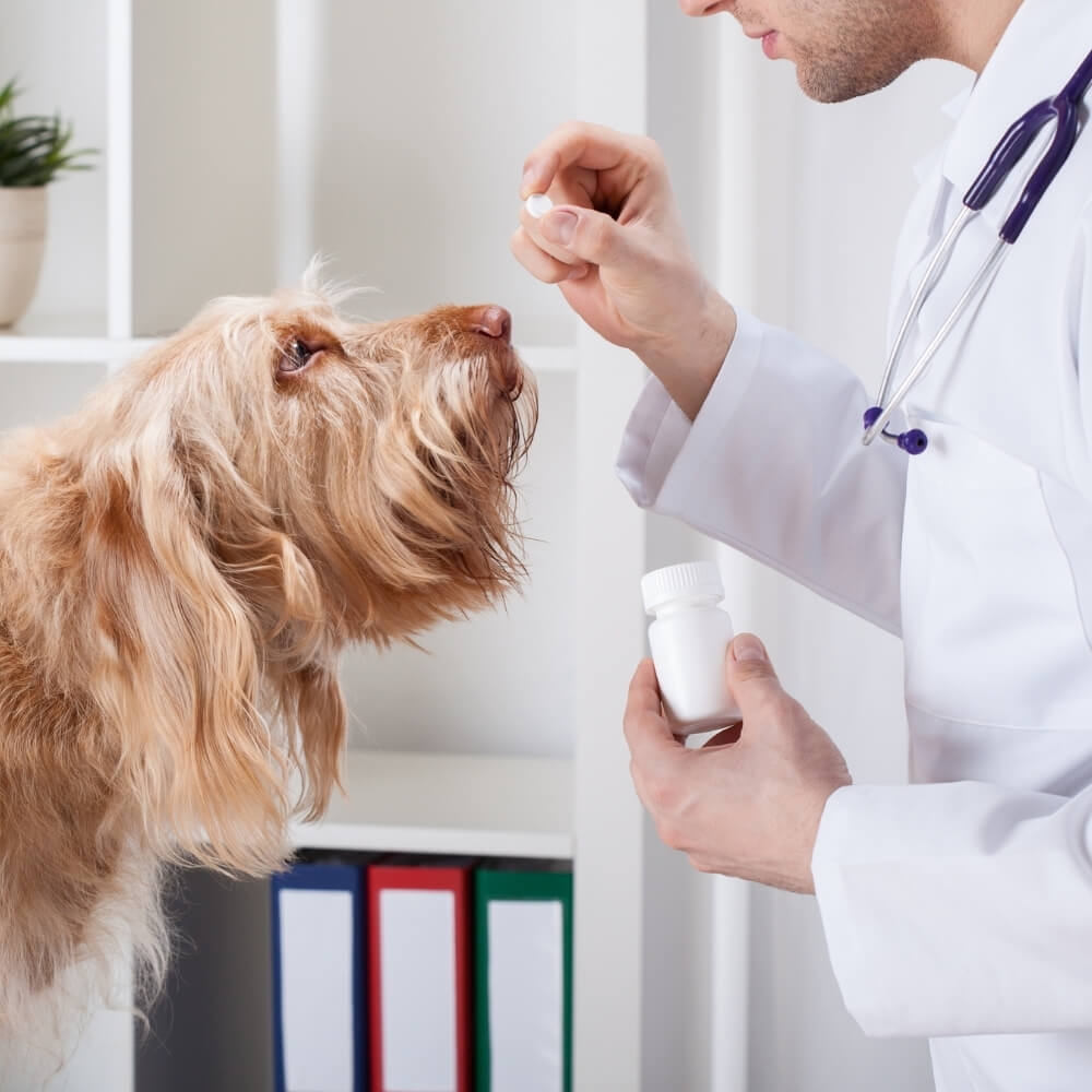  Pet Care Pharmacy