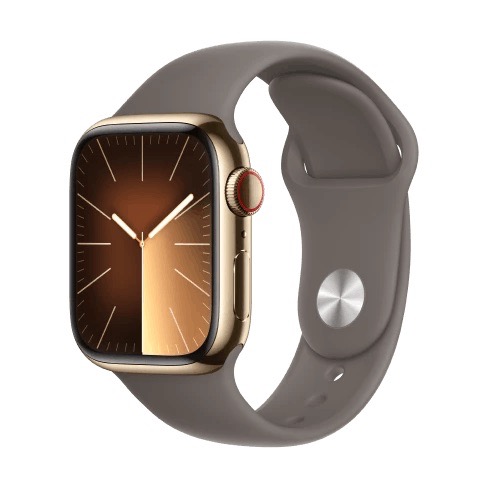  APPLE Watch Series 9 Stainless Steel Case 45mm