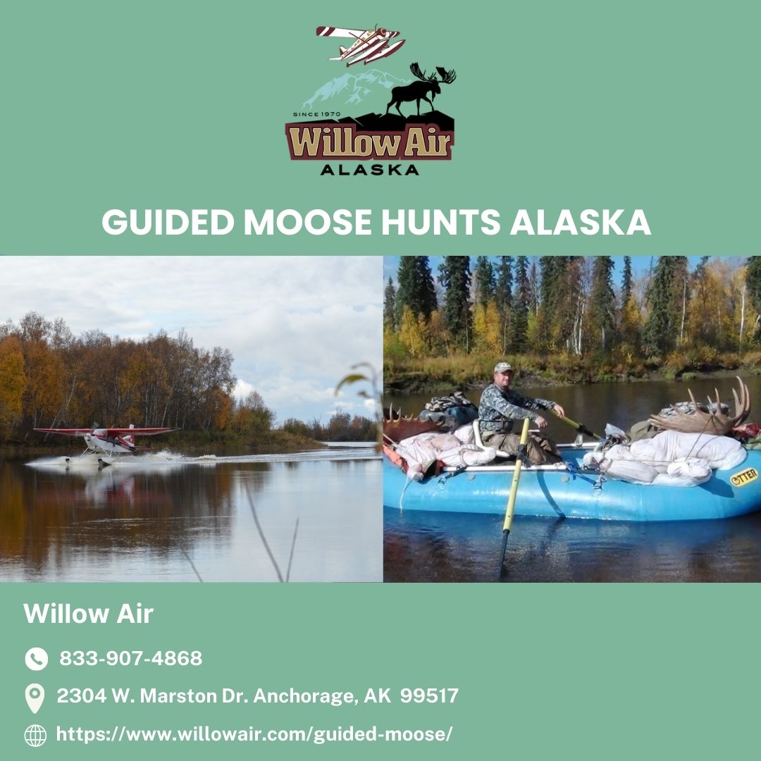  Guided Moose Hunts Alaska