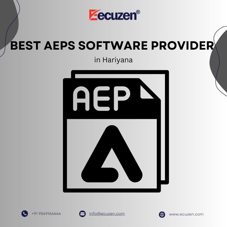  Best AEPS Software Provider in Hariyana