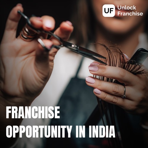  Market Potential of Franchise Opportunity in India