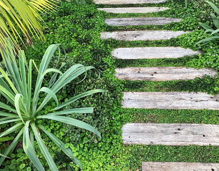  The Art of Landscape Installation: Transform Your Outdoors with Bondi Landscapes