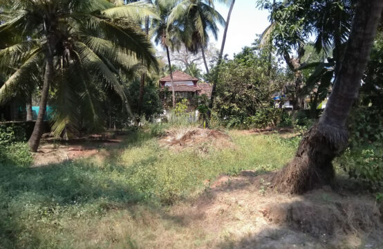  Plots for Sale in Margao Goa